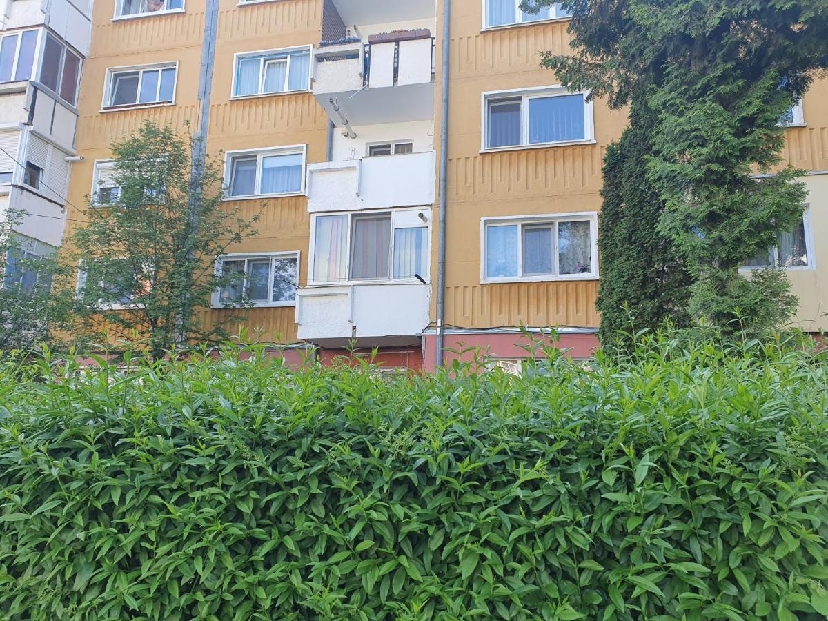 Sepsi 4You Apartment Сфынту-Георге Экстерьер фото
