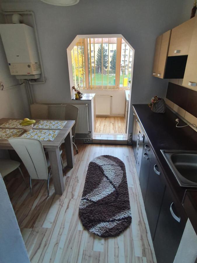 Sepsi 4You Apartment Сфынту-Георге Экстерьер фото